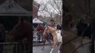 Middleburg parade#horse#equestrian#Middleburg parade ￼