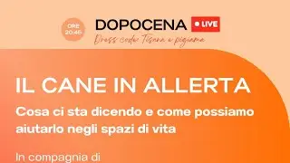 #170 DOPOCENA LIVE | CINZIA STEFANINI | IL CANE IN ALLERTA