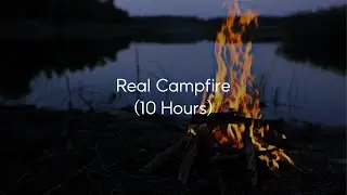 Stop Scrolling and Watch This &ndash; Real Campfire by the Lake (10 Hours)