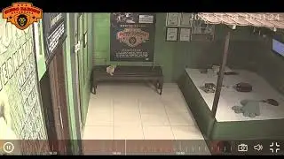 Sedang mengatasi pasien kena guna-guna,jin keluar,langsung menyerang kucing kesayanganku