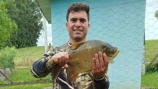 Pescarias de barranco tradicionais  está ao vivo!