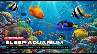 Sleep Aquarium | No Music Underwater Soundscape ASMR