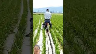 &ldquo;The farmers&rsquo; creative ideas are truly amazing!&rdquo;