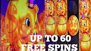 RAKIN BACON UP TO 60 FREE SPINS
