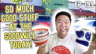 So Much Good Stuff at the Goodwill Today! Trip to the Thrift EP 199