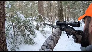Tracking the Crunch Buck - Hunting with the grunt call