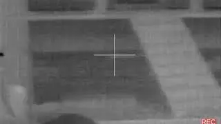 FLIR - PTS233 - Mice at ~25 yards