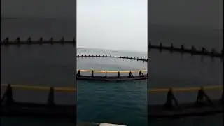 China Extruder machine for marine pedal
