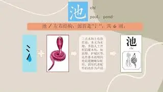 chi   池 / 【图解汉字】Chinese Character Evolution（暨南中文，马立平中文，华文，人教版中文生字词）