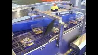 WMH In-Line Lane Product Merge Unit