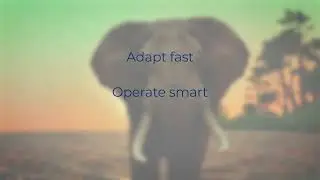 Evolve- vTech Solution Inc