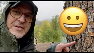 Волнуются ли деревья, когда идет дождь?
