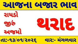 community price 13-01-2026|આજના થરાદ માર્કેટ યાર્ડ ના ભાવ|બજાર ભાવ આજના| Tharad market yard