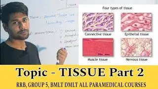 TISSUE Part 2 ,RRB ,GROUP 5,ALL PARAMEDICAL COURSES BMLT,DMLT AND ALL GOVERNMENT JOBS