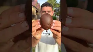 what a Chocolate Water Balloon looks like