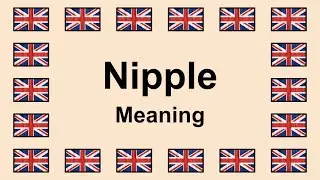 Meaning of NIPPLE in English 🇬🇧