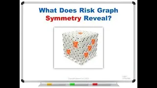 What Does Risk Graph Symmetry Reveal?