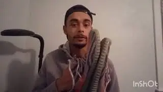 2018 FAKE YEEZYS || AMAZON REVIEW