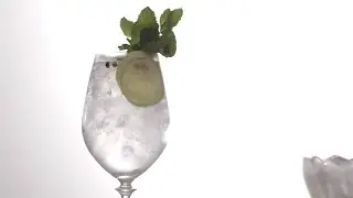 House Big Gin and Tonic Recipe