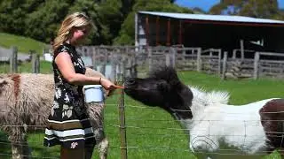 JOHANNA RIVER FARM AND COTTAGES