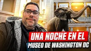 &iexcl;Los Museos GRATIS M&aacute;s INCRE&Iacute;BLES de Washington DC!