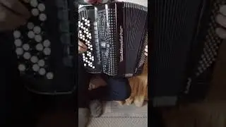 Баян Weltmeister supita Kantora