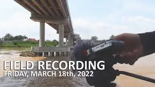 Under the Bridge #1 - Sony PCM-D100 (Lowcut 150Hz) - Field Recording Friday, March 18th, 2022