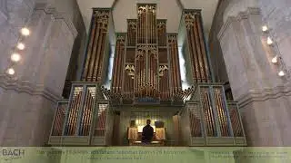 Bach am Sonntag: 11. Konzert