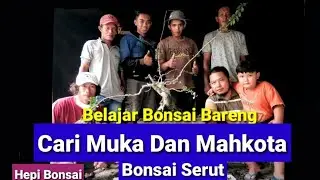 Cari Muka Dan Mahkota Pada Bonsai Serut