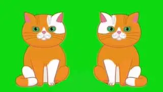 Cute Cat Animation Green Screen | Funny Cat Chroma Key Video HD #cat #animals  #videoediting