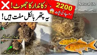 Natural life//￼ fish tank stone//Thousands of benefits for goldfish enthusiasts//Beautiful view