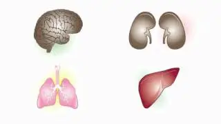 Safety Tip: Respiratory Protection | Vivid Learning Systems