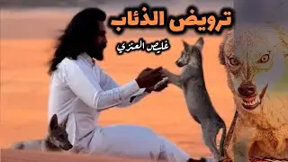 غليص العنزي مخاوي الذيب