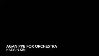 Haeyun Kim - Aganippe (2019) for orchestra (live)