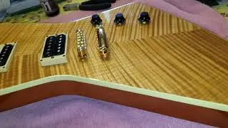 Hamer USA Standard Custom