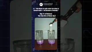 Why Ink Floats on Salt Water! 💧🖋️