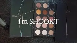 FAKE ZOEVA Nude Spectrum Palette - I'm Shookt!!!