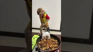 Mom Collaborates With Baby Monkey To make The Best Food.