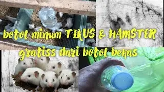 TIPS MEMBUAT BOTOL MINUM MENCIT DAN HAMSTER BEBAS BIAYA