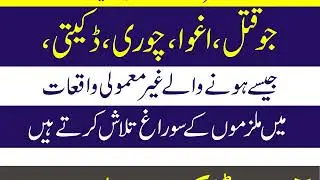 Army dog center # havailan Khoji dog service # 03006666916# fight against crimes # trained dogs #