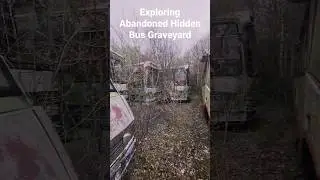 Exploring Abandoned Hidden Bus Graveyard With Rare Cars  #abandonedplaces #shorts #buses #vehicles