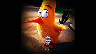 Чак действительно быстрый 💀 - Angry Birds