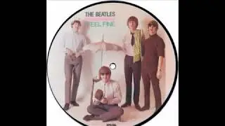 The Beatles / Picture Discs