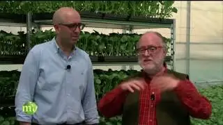 ECOFABER e Mela Verde - Canale 5