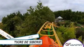 TIGRE DE SIB&Eacute;RIE - LE PAL - GFcoaster - POV [2024]