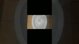 Pressure Assist Toilets Flushing Compilation.