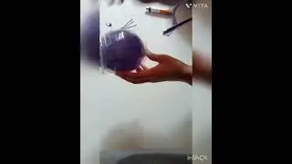 Cat toy 😺 made by plastic bottle
