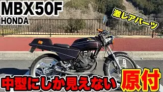 原付に見えない『MBX50F』が渋過ぎる！