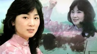 鳳飛飛  -  2017光復節