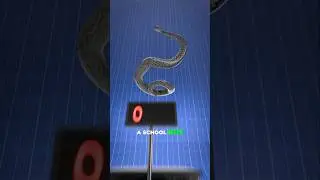 Самая большая змея всех времён &mdash; ТИТАНОБОА🐍🤯